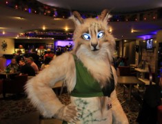 ConFuzzled 2013