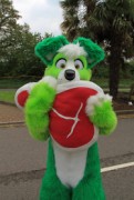 ConFuzzled 2013