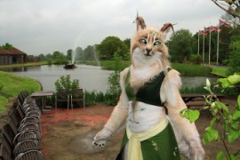 ConFuzzled 2013