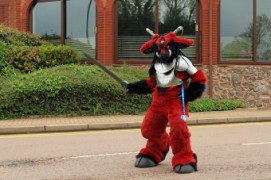 ConFuzzled 2013