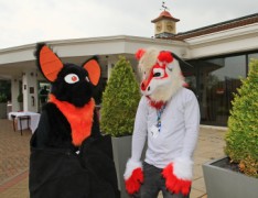 ConFuzzled 2013