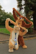 ConFuzzled 2013