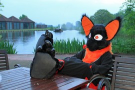 ConFuzzled 2013