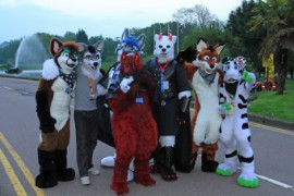 ConFuzzled 2013