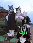 ConFuzzled 2013