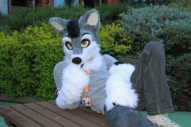 ConFuzzled 2013