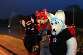 ConFuzzled 2013