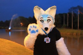 ConFuzzled 2013