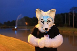 ConFuzzled 2013