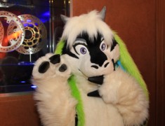 ConFuzzled 2013