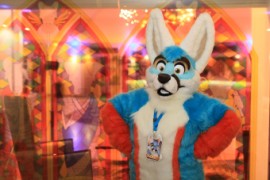 ConFuzzled 2013