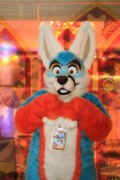 ConFuzzled 2013