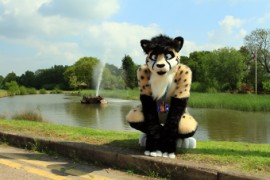 ConFuzzled 2013