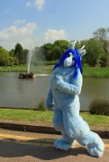 ConFuzzled 2013