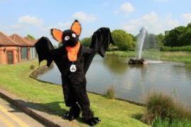 ConFuzzled 2013