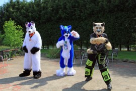 ConFuzzled 2013