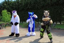 ConFuzzled 2013