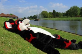 ConFuzzled 2013