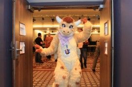 ConFuzzled 2013