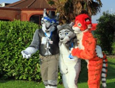 ConFuzzled 2013