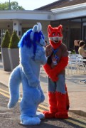 ConFuzzled 2013