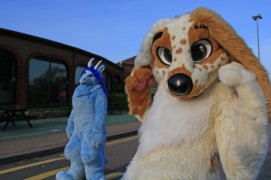 ConFuzzled 2013