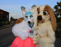 ConFuzzled 2013