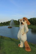 ConFuzzled 2013