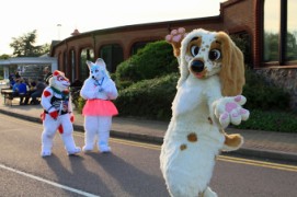 ConFuzzled 2013