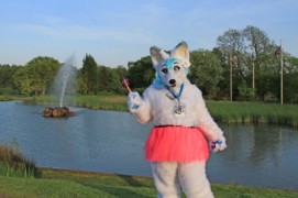 ConFuzzled 2013