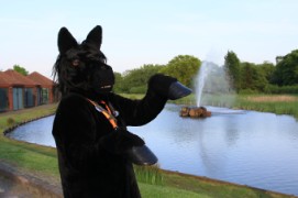 ConFuzzled 2013