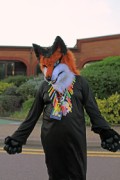 ConFuzzled 2013