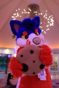 ConFuzzled 2013