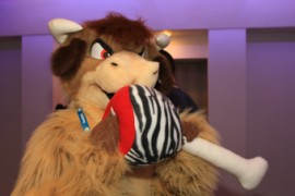 ConFuzzled 2013