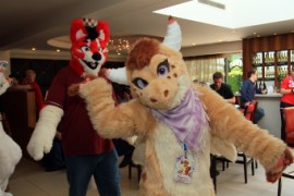 ConFuzzled 2013