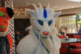 ConFuzzled 2013