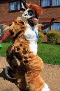 ConFuzzled 2013