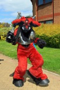 ConFuzzled 2013