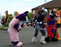 ConFuzzled 2013