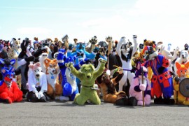 ConFuzzled 2013