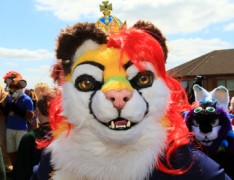 ConFuzzled 2013