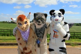 ConFuzzled 2013