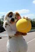 ConFuzzled 2013