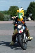 ConFuzzled 2013