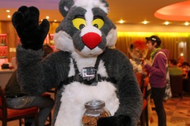 ConFuzzled 2013