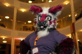 ConFuzzled 2013