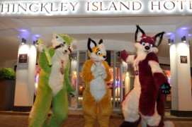 ConFuzzled 2013