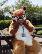 ConFuzzled 2013