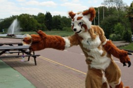 ConFuzzled 2013