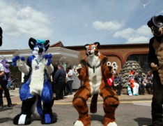 ConFuzzled 2013